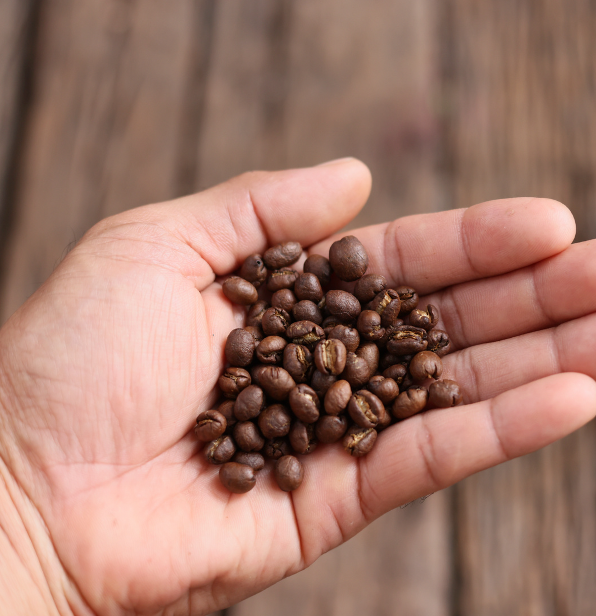 peaberry coffee beans