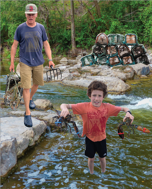 RoosRoast Releases Maine Lobsters in the Huron River