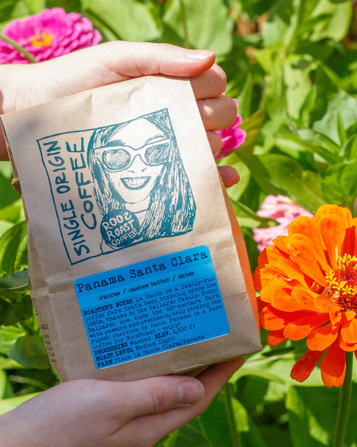 Panama single origin