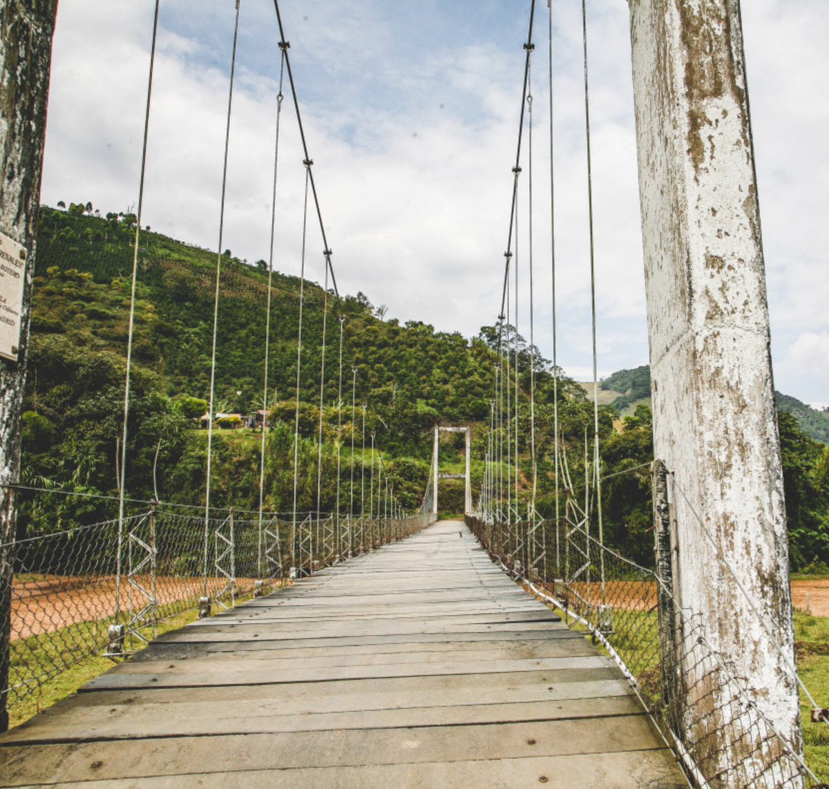 Drawstring and wooden bridge leading to a Colombian coffee farm.