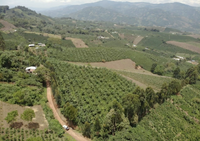 overhead view of finca el recreo