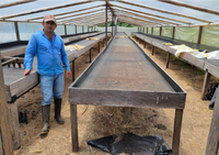 farmer at el recreo drying beds