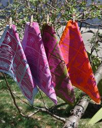 bandana in orchard
