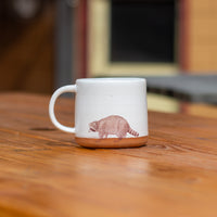 Handmade Ceramic Grayling Mugs