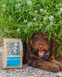 single origin coffee with a puppy