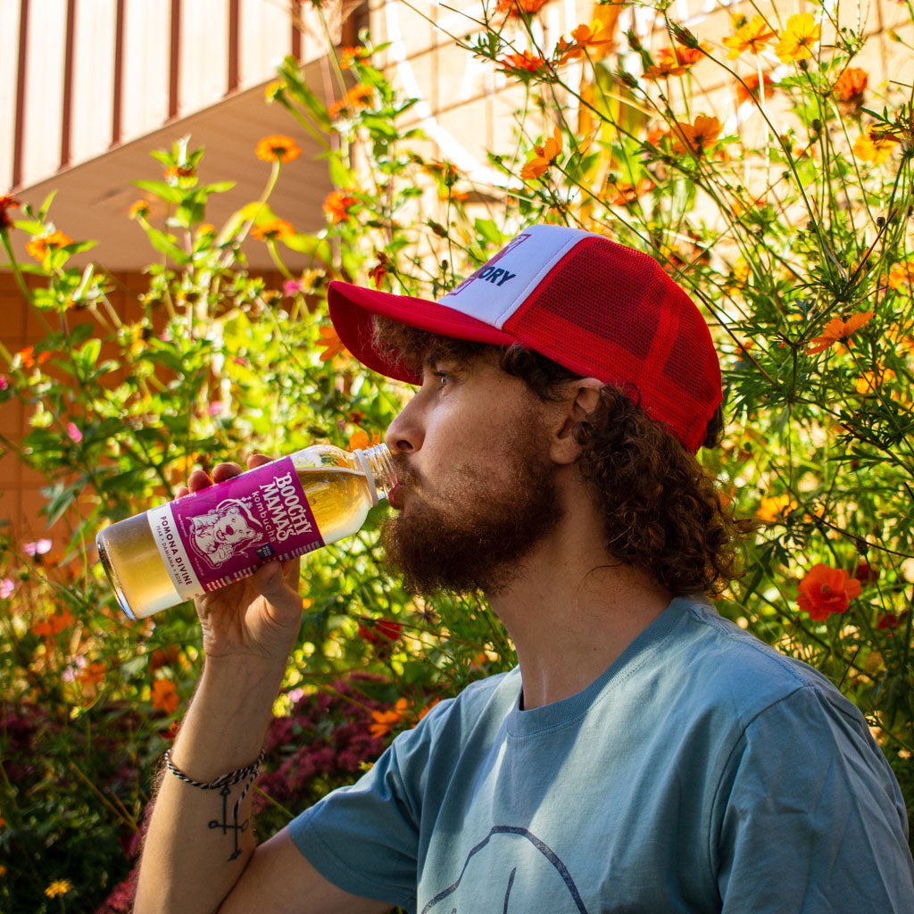 red lobster butter love laboratory red trucker hat by roosroast coffee